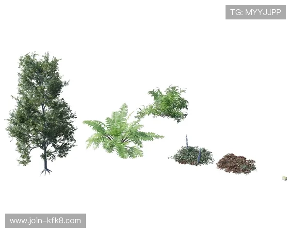 中国凯发集团有限公司官网提供最新企业新闻与行业动态信息汇总